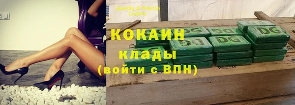 гидра Магас
