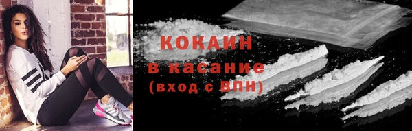 гидра Магас