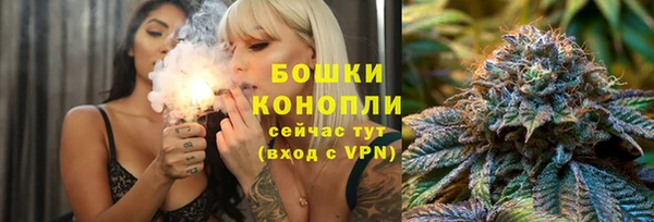 гидра Магас