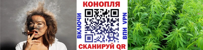 Купить закладки  Завитинск  МАРИХУАНА Ganja 